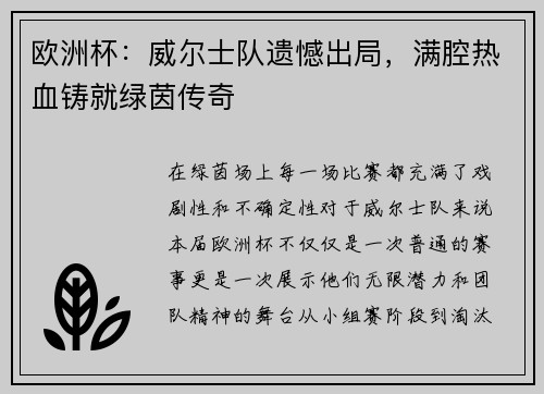 欧洲杯：威尔士队遗憾出局，满腔热血铸就绿茵传奇