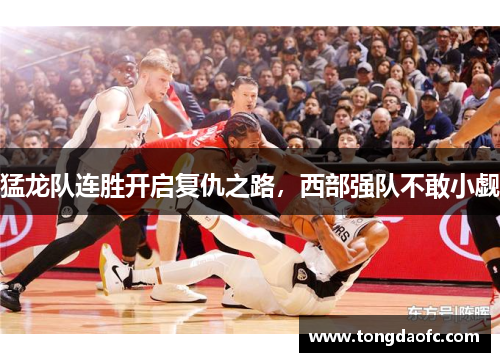 猛龙队连胜开启复仇之路，西部强队不敢小觑