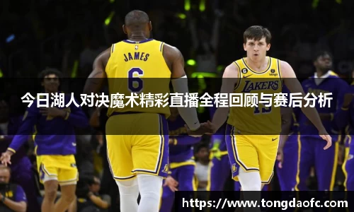 今日湖人对决魔术精彩直播全程回顾与赛后分析