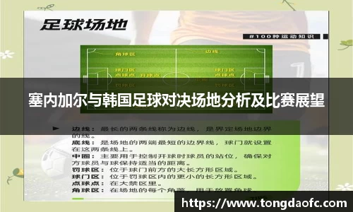 芒果体育官方app下载